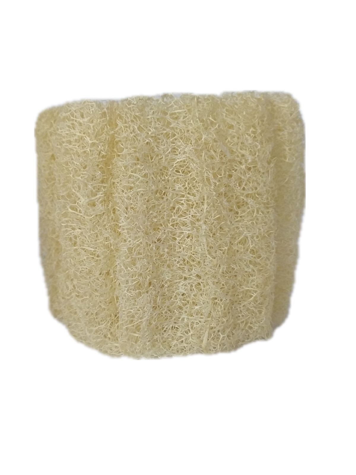 Small Loofah - Image 1